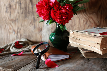 Similar image 13146645