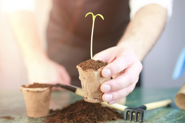 Similar image 13145984