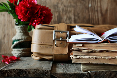 Similar image 13146004