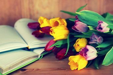 Similar image 13146432