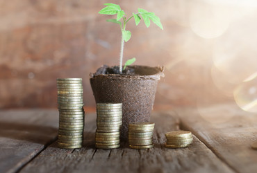 Similar image 13146407