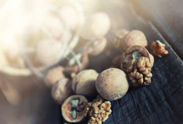 Similar image 13146435