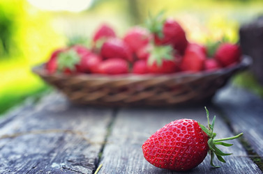 Similar image 13146233