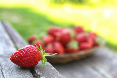 Similar image 13146234