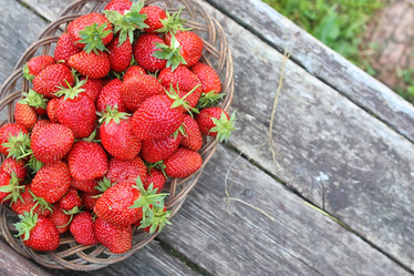 Similar image 13146248