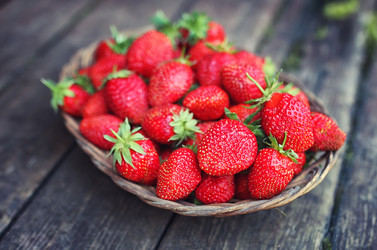 Similar image 13146288