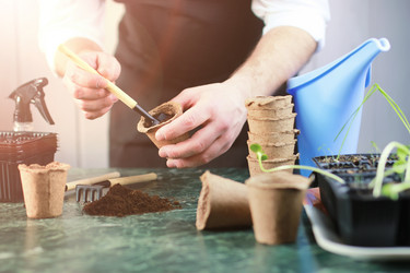 Similar image 13145956