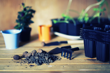 Similar image 13145986