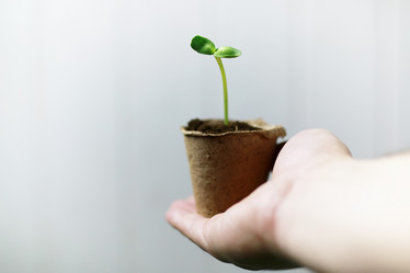 Similar image 13145987