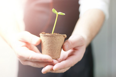 Similar image 13146007