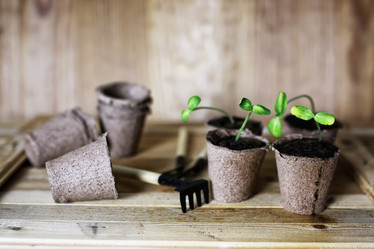 Similar image 13146025