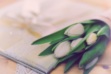 Similar image 13146165