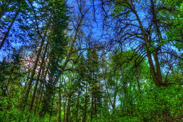 Similar image 13131114