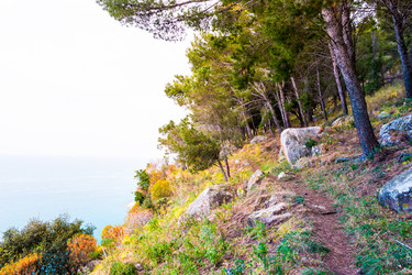 Similar image 13131116