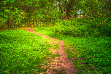 Similar image 13131133