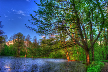 Similar image 13131138