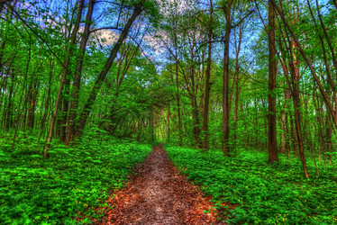 Similar image 13131151