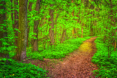 Similar image 13131153