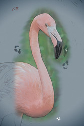 Similar image 13131272