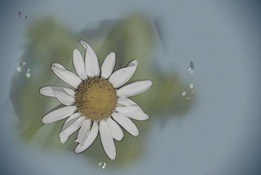 Similar image 13131286