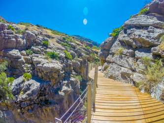 Similar image 13131392