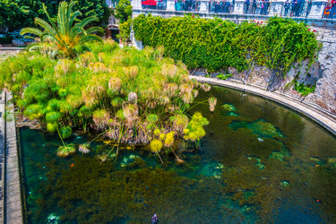 Similar image 13131407