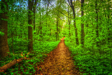 Similar image 13131490