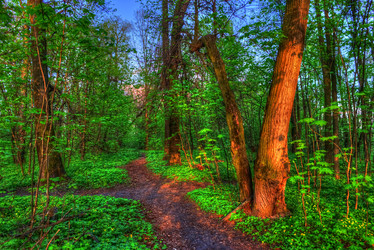 Similar image 13131550