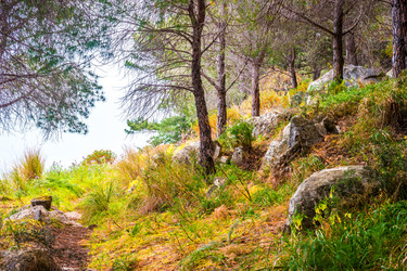 Similar image 13131554