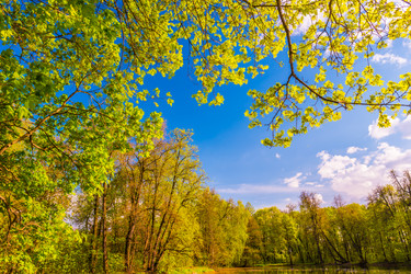 Similar image 13131567