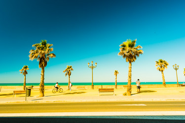 Similar image 13131569