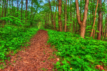 Similar image 13131571