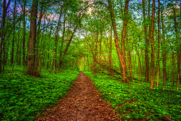 Similar image 13131590