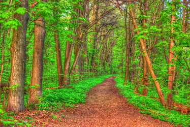 Similar image 13131592