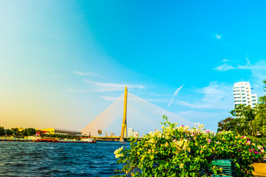 Similar image 13131652