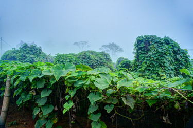 Similar image 13131730