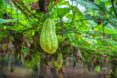 Similar image 13131733