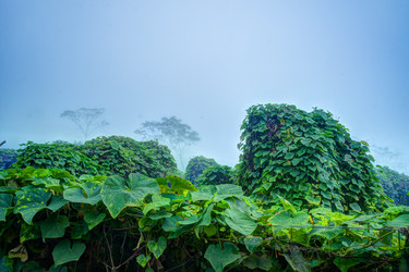 Similar image 13131766