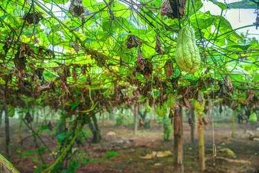 Similar image 13131767