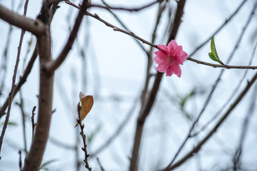 Similar image 13131791