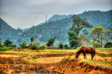 Similar image 13131792