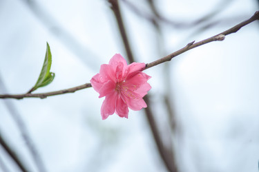 Similar image 13131812