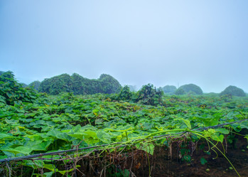 Similar image 13131829