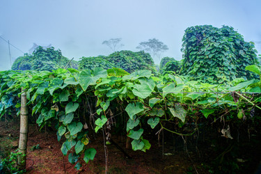 Similar image 13131831