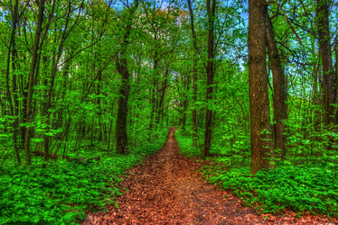 Similar image 13131273