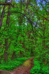 Similar image 13131304