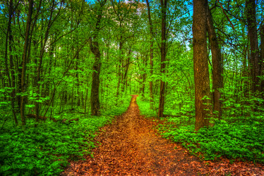 Similar image 13131307