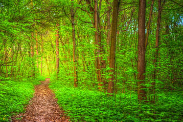 Similar image 13131308