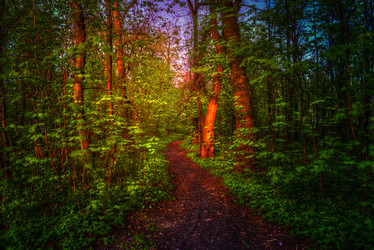 Similar image 13131309