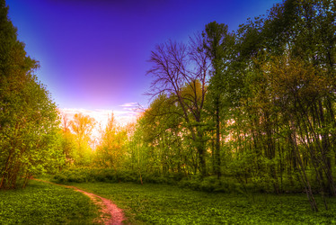 Similar image 13131329